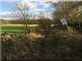 Path near Shevington