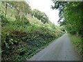 Lane leading past Falcondale Lake