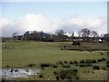 A wet field, Mollands