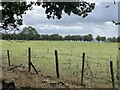 Pasture near Portobello Farm, Shirburn