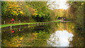 Cyclists on towpath, Trent & Mersey Canal, Mount Pleasant, Stoke-on-Trent