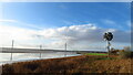 Future Flower sculpture & view to Mersey Gateway Bridge