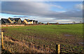 A large arable field at Birgham