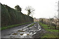 Muddy, potholed road