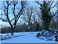 Snowy scene in Consett Park