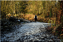 H4772 : Frosty along the Highway to Health path by Kenneth  Allen
