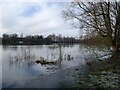 Conningbrook Lakes Country Park, Ashford