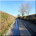 Langley: icy Bull Lane