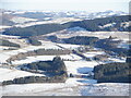 View down Ettrick Dale