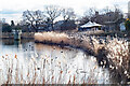 Woodberry Wetlands Nature Reserve