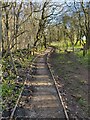 SP0225 : Path and woodland near the Belas Knap Long Barrow by Mat Fascione