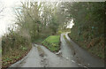 Lane junction near Ilsington