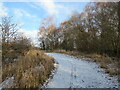 Frosty path, Strathclyde Park