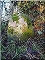 SO4840 : Old Boundary Stone, Breinton Road, Hereford by Mr Red