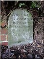 SO4839 : Old Boundary Stone, Breinton Road, Hereford by Mr Red