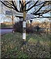 Crossroads Signpost