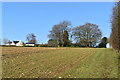 SU6437 : Field edge path to Hattingley by David Martin