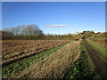 Bridleway and footpath to Bradmore