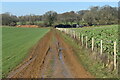 Muddy track north from Trinity Farm