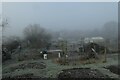 Hospital Fields Allotments