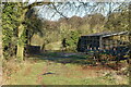 Footpath through overgrown farmyard