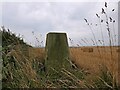 Triangulation pillar, Roadside, Aberdeenshire