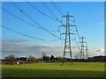 Electricity pylons