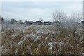 SE6253 : Hoar frost near Elmpark by DS Pugh