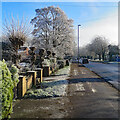 Cherry Hinton Road in January