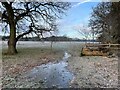 Severe frost - Hawley Farm Open Space