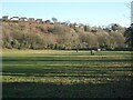 River meadow and woodland close to the north-western edge of Bridgend