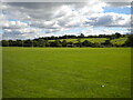 Fields, Leaventhorpe