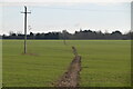 Footpath to Bashford Barn Lane