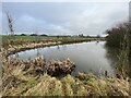 Pond by Aston Lower Hall Farm