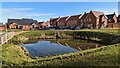 SJ6012 : New homes and attenuation pond at Allscott Meads by TCExplorer