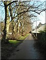 Footpath beside Great Western Road