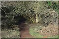 Footpath to the Sports Ground, Springfield Park, Kidderminster, Worcs