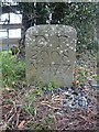 SO6620 : Modern Boundary Stone, Dean Common by Mr Red