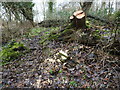 Brickwork remains of a former bridge support