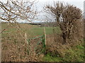 Footpath from Shalmsford Road