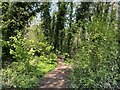 Path entering Heath Park