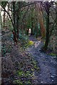 Public footpath to Springfield Park, Kidderminster, Worcs