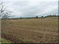 Field south of Shaw Lane