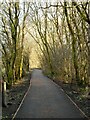 Strathkelvin Railway Path