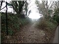 Footpath next to New Forest Lane