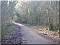 Strathkelvin Railway Path