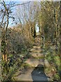 Looking up the Cat Steps