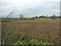 Field of stubble south of Shaw Lane