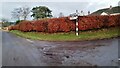 NE quadrant of crossroads at north end of Faugh