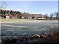 Frosty field, Lennoxtown